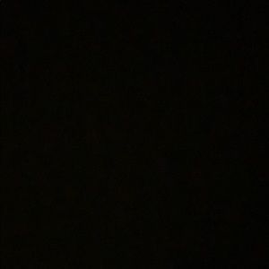 Meet your Posher, Elvis